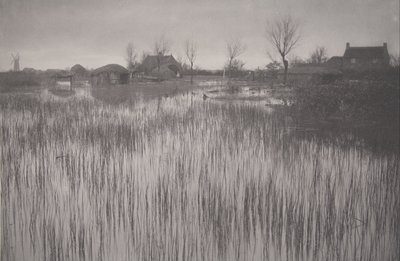 A Rushy Shore, plate XXXV from Life and Landscape on the Norfolk Broads by Peter Henry Emerson